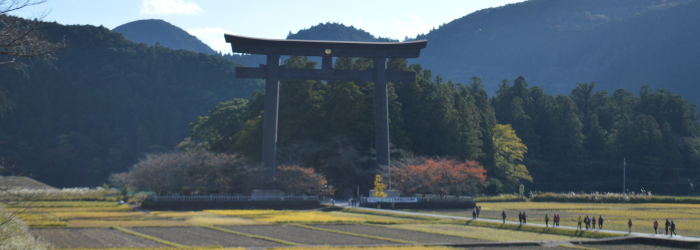 Torii Japon