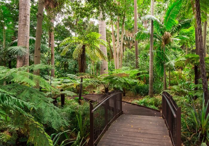 Allée du Royal Botanic Gardens