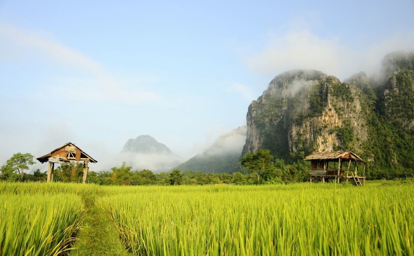 Rizières au Laos pendant la saison humide