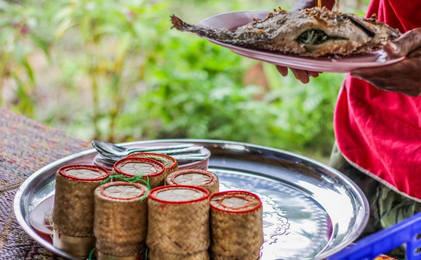 Repas traditionnel laotien du riz gluant et du poisson grillé