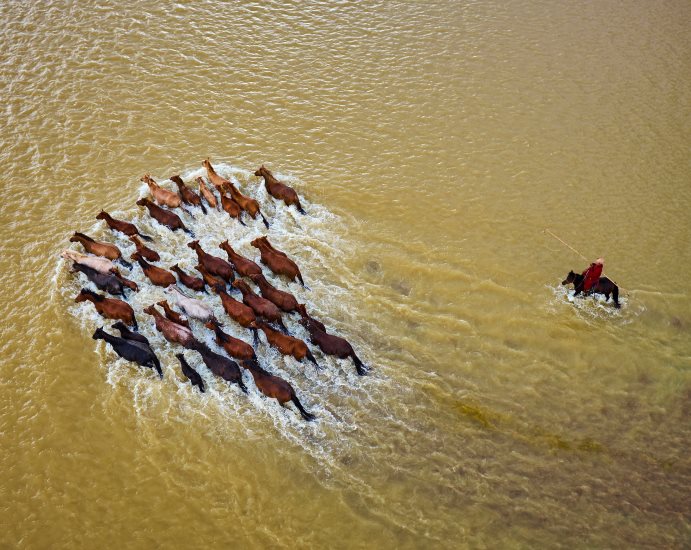 Traversé de rivière par les cheveaux de Mongolie