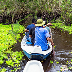 Voyageurs visitant la forêt de Tra Su dans le delta du Mékong