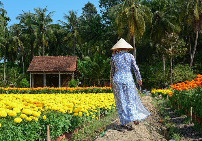 Vietnamienne marchant dans une plantation de fleurs dans la ville de Sadec