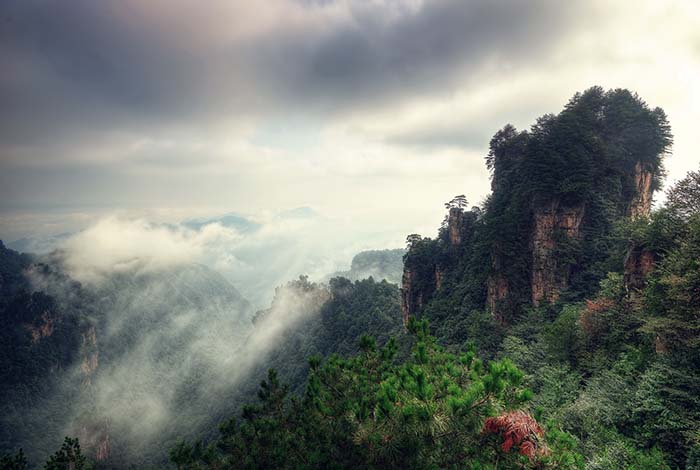 Vue panoramique du Parc national de Zhangjiajie en Chine
