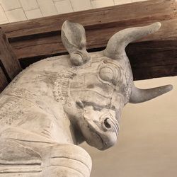 Ornement d'une colonne de la cité de Persépolis, Iran