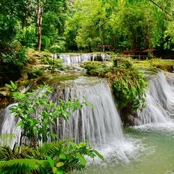 Cambugahay Falls sur l'île de Siquijor aux Philippines