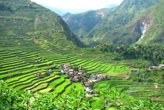 Rizières en terrasses dans la vallée de Banaue aux Philippines