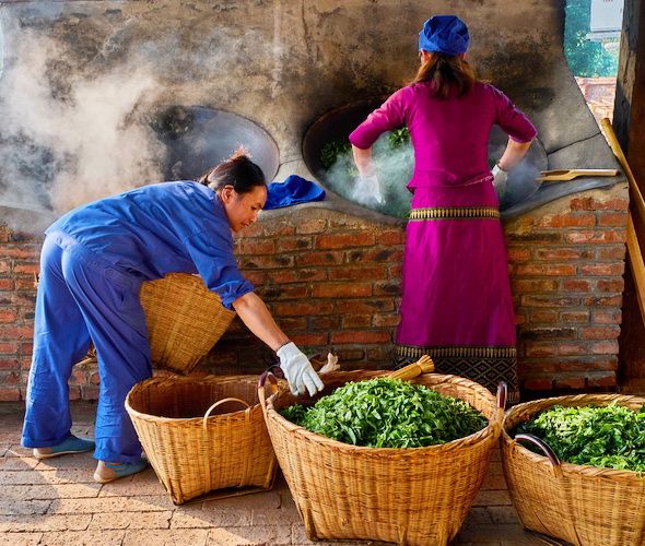 Séchage des feuilles de thé Pu'er, village du Yunnan