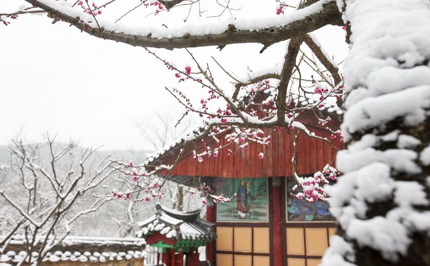Temple de Tongdosa sous la neige, région de Yangsan, Corée du Sud