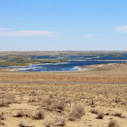 Lac Aydarkul, Ouzbékistan