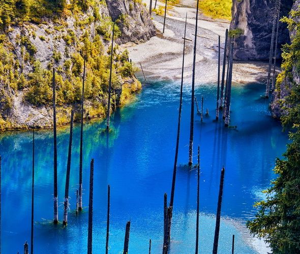 Vue haute du lac Kaindy avec ses arbres secs flottants, Kazakhstan