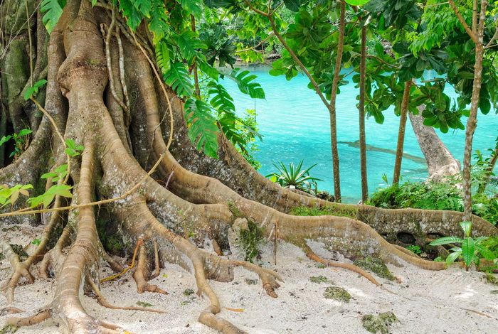 Ile d'Efate, Blue Lagoon, Vanuatu
