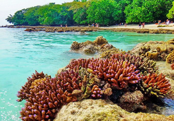 Espiritu Santo, champagne Bay, spot de plongé, Vanuatu
