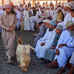 Jour de marché à Nizwa, Sultanat d'Oman