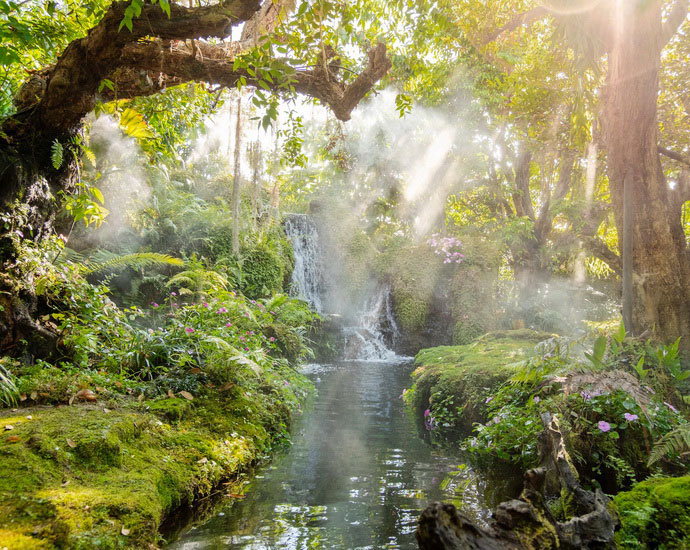 Cascade dans la jungle au levé du jour, Laos