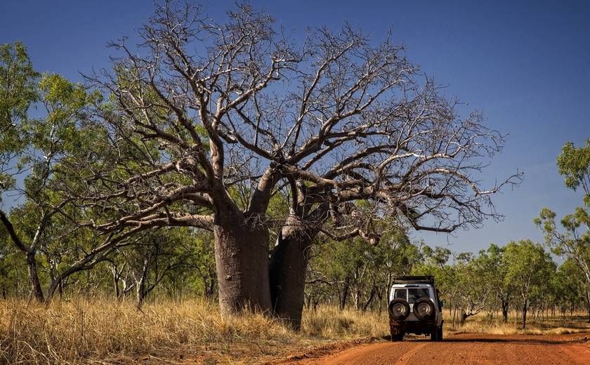 Outback track, Gibb river road, Australie