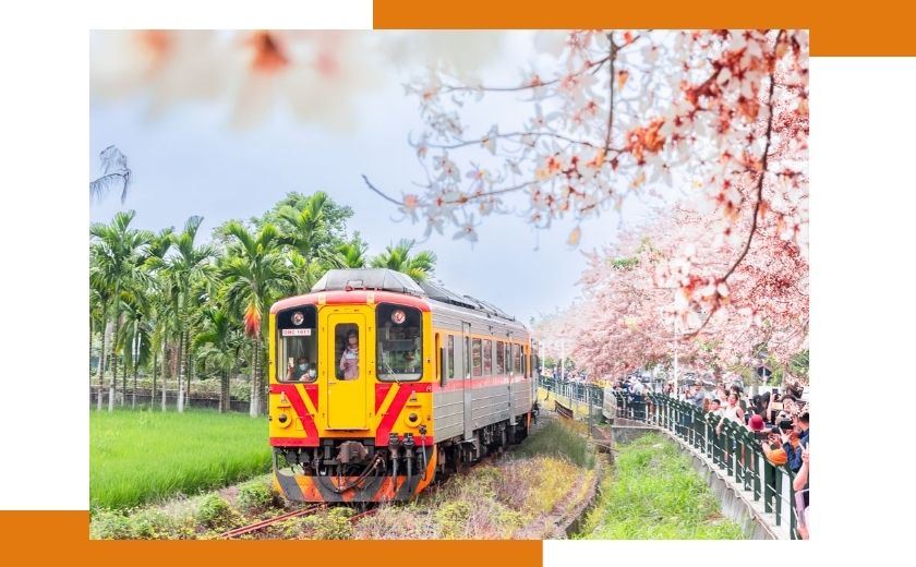Tapei train