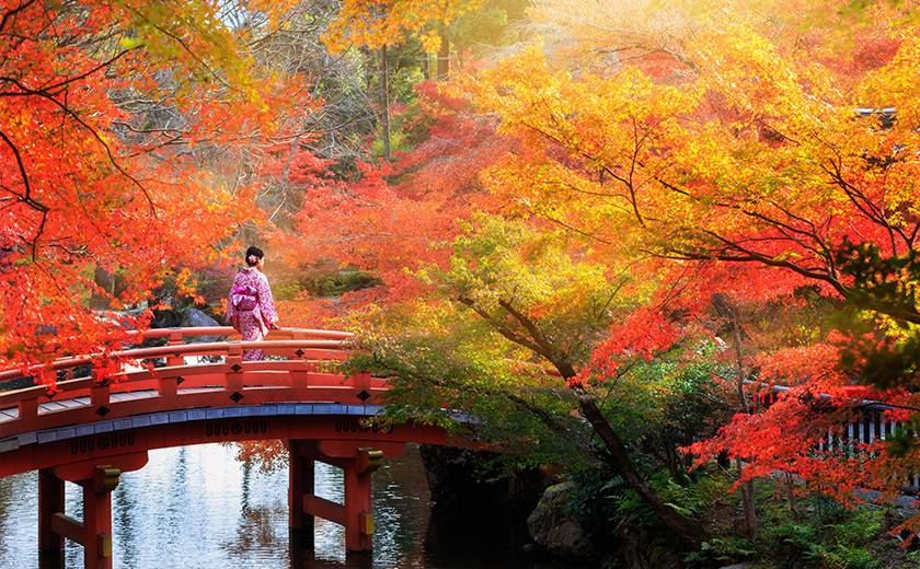 Pont en bois dans un parc japonais en automne