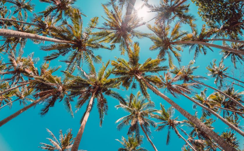 sejour dans les iles