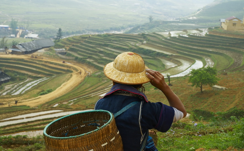 oman et la ville de mascate