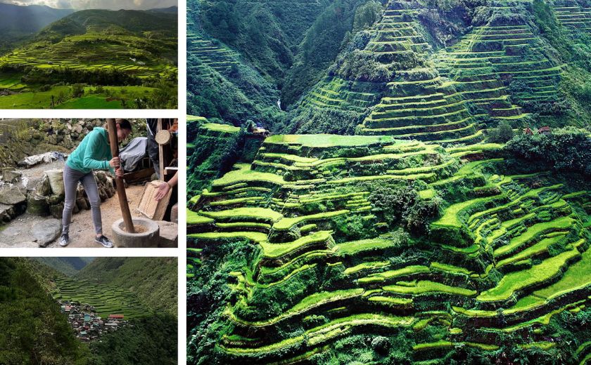 rizieres de Luzon au Philippines