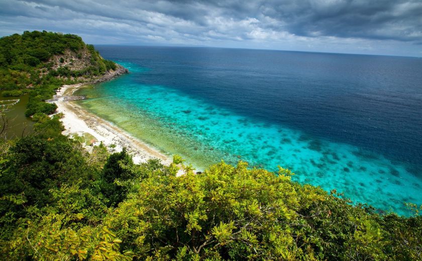 apo island