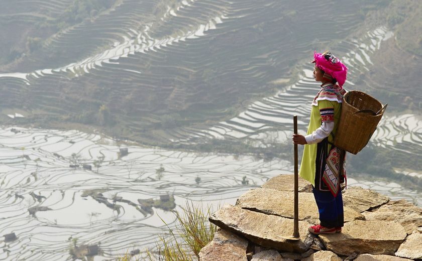 Les rizières au Yunnan en Chine