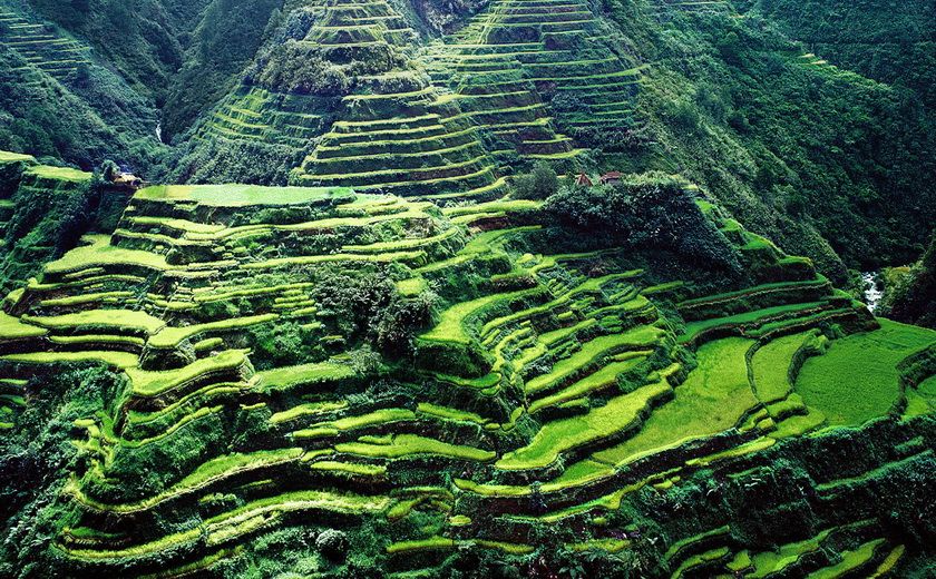 Les rizières de Banaue aux Philippines