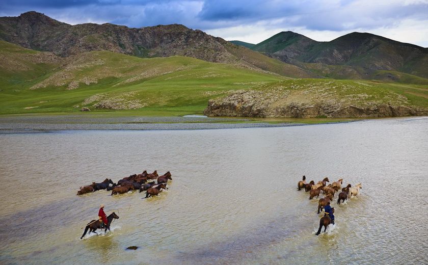 Chevaux dans le désert de Gobi en Mongolie